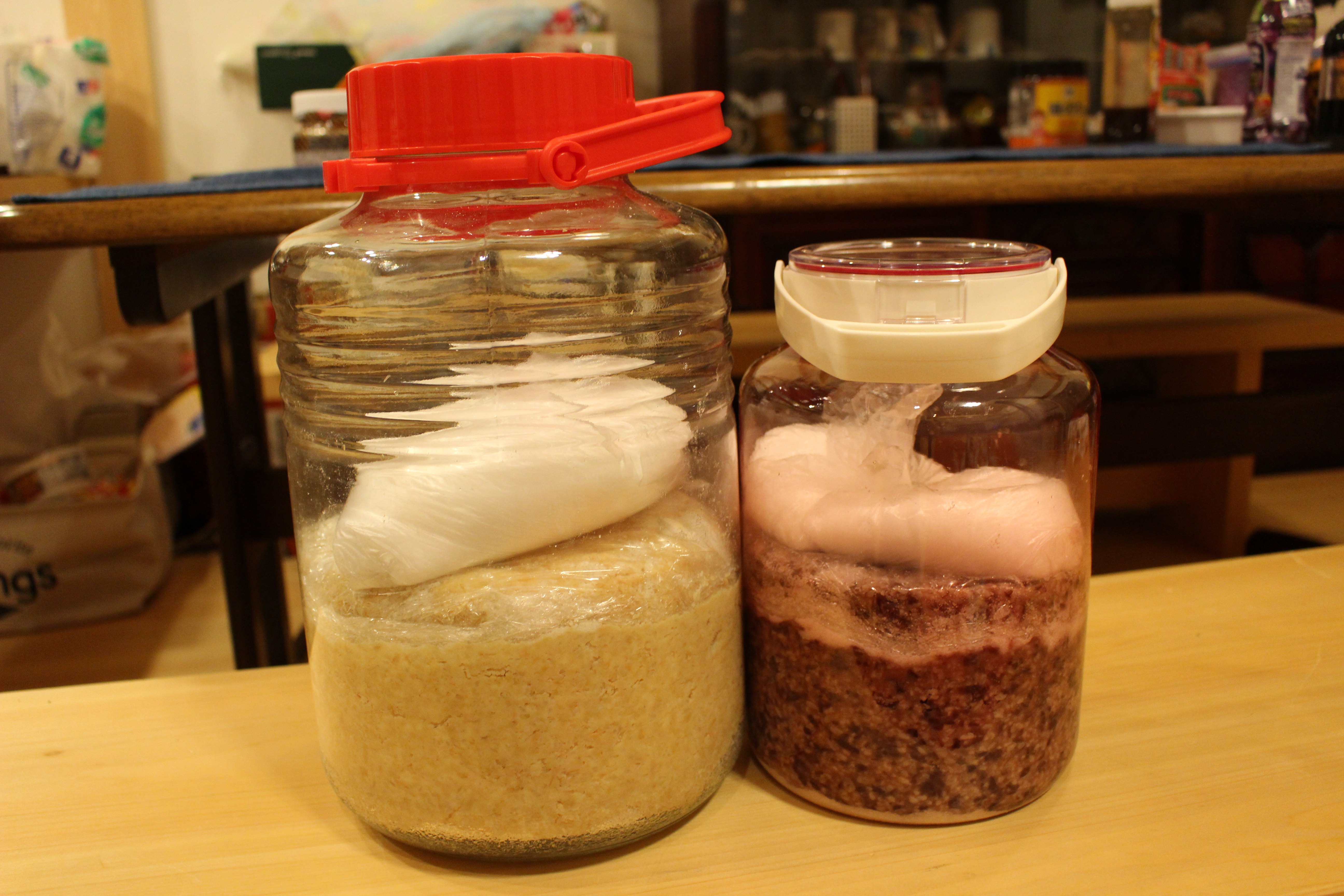 アベ食う寝る95 ふーと手前味噌作り Roots工務店